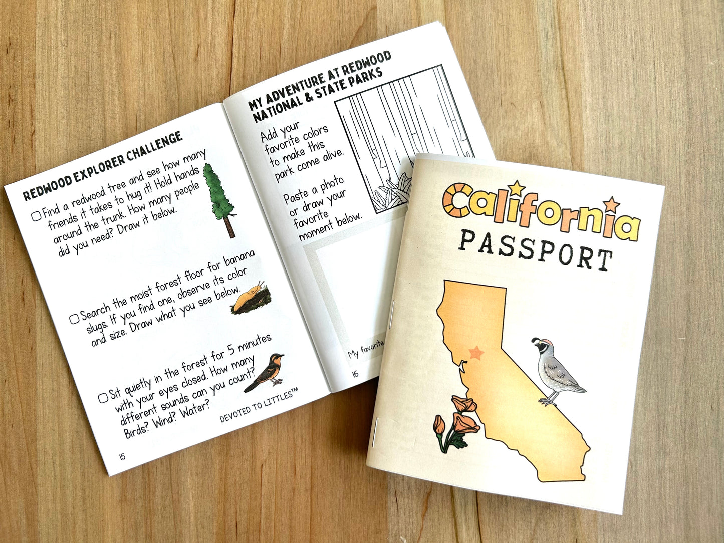 California Passport - Digital Download