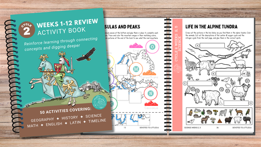 Cycle 2 Weeks 1-12 Review Activity Book - Digital Download