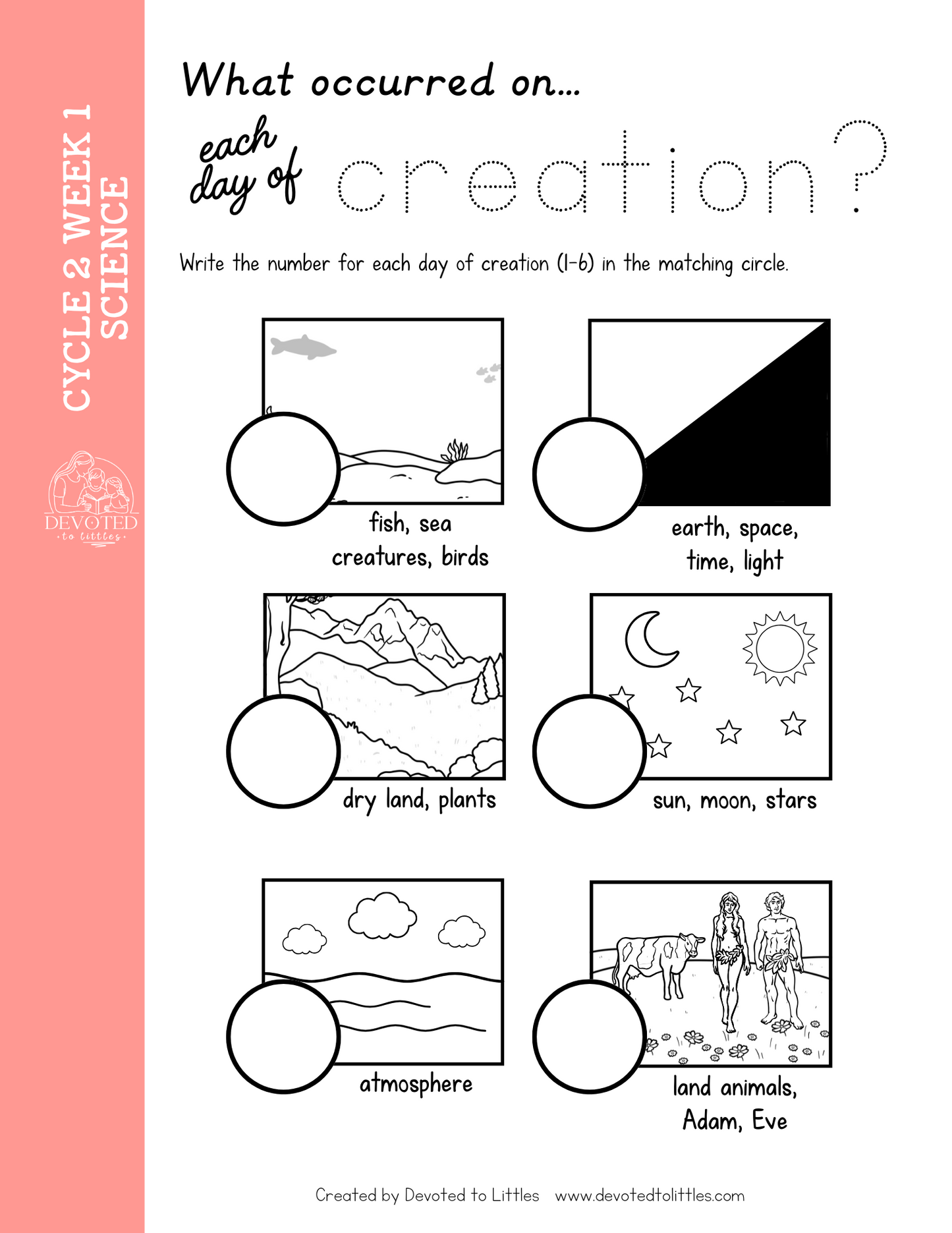 Cycle 2 Memory Work Activity Book