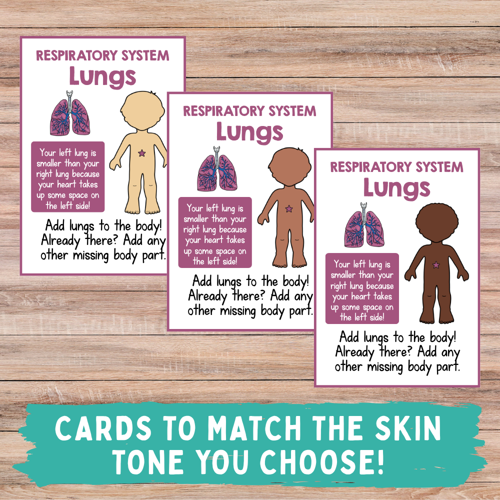 Build A Body Game- Digital Download