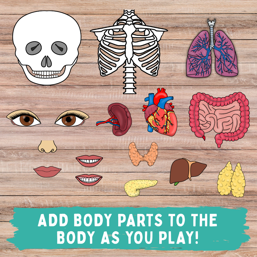 Build A Body Game- Digital Download