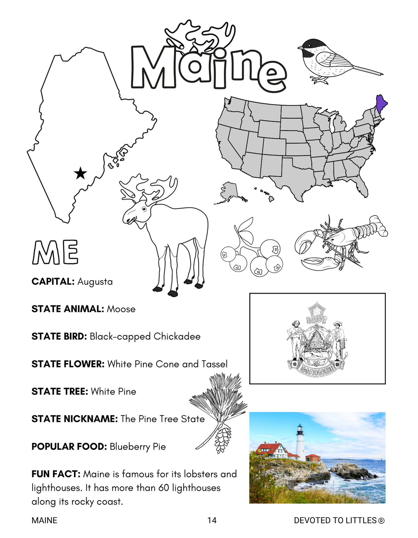 My United States Workbook