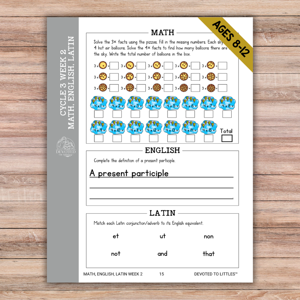 Cycle 3 Memory Work Activity Book