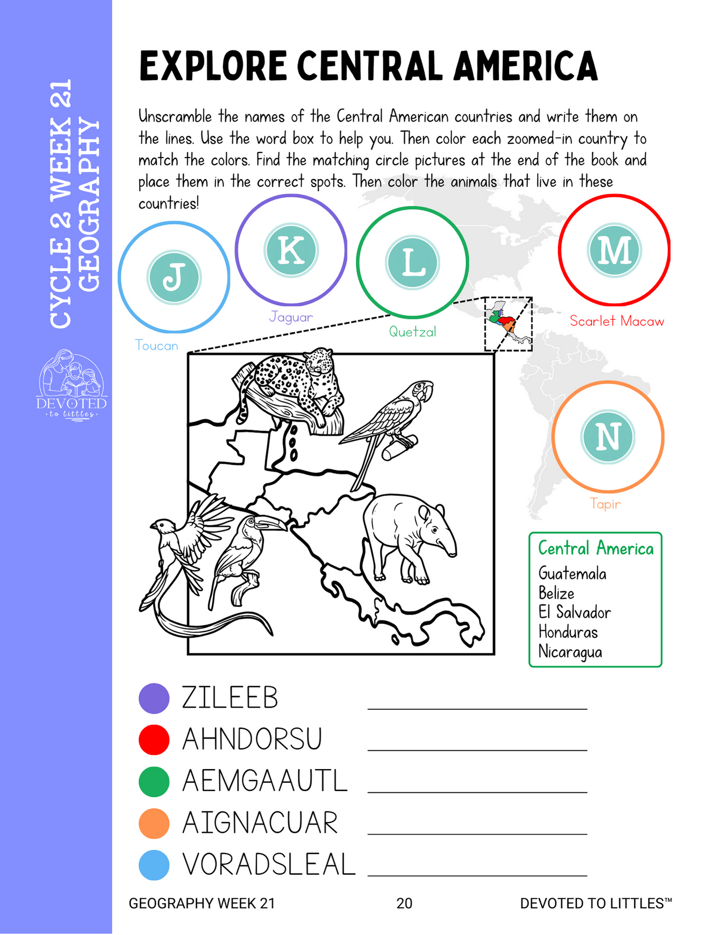 Cycle 2 Weeks 13-24 Review Activity Book