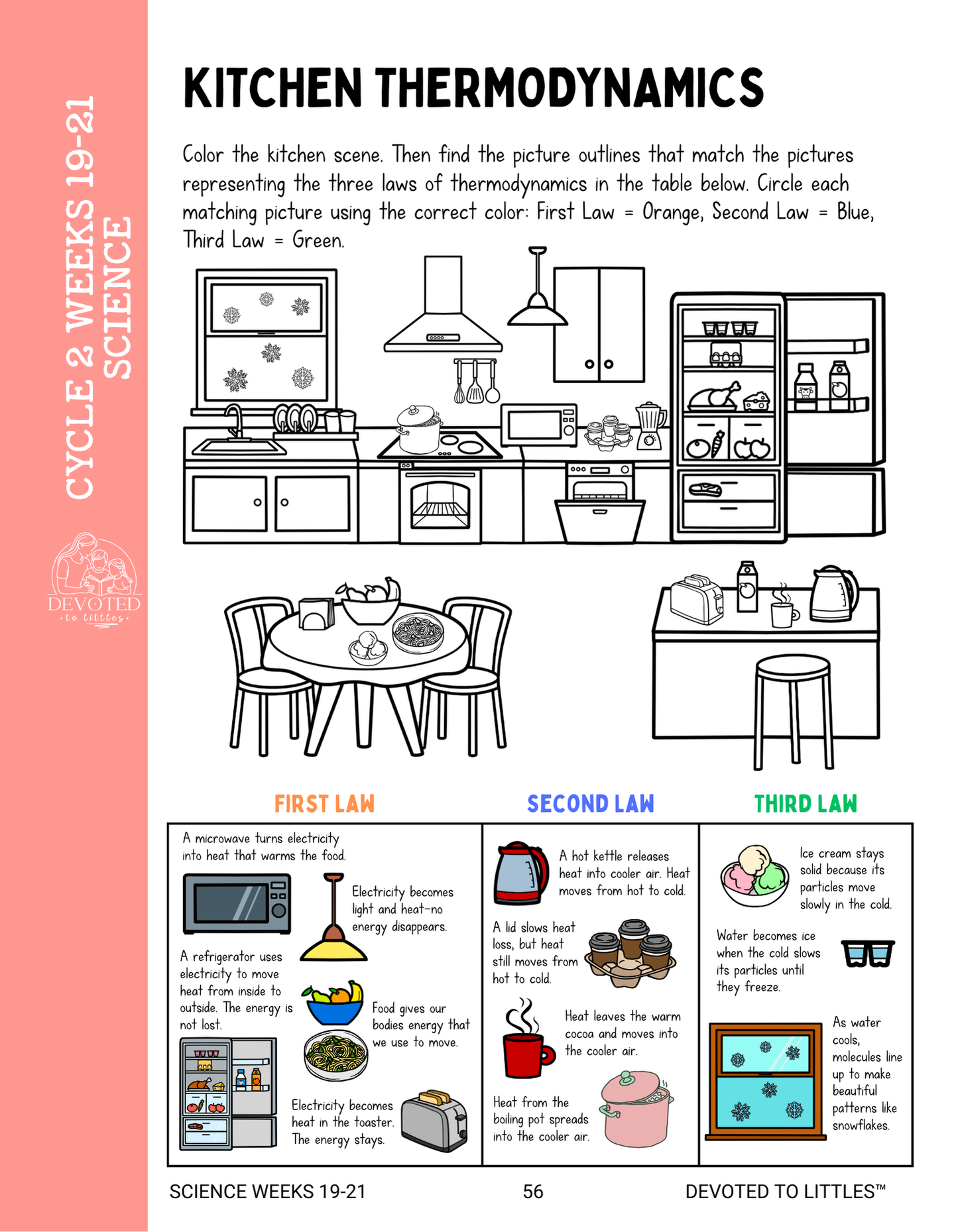 Cycle 2 Weeks 13-24 Review Activity Book