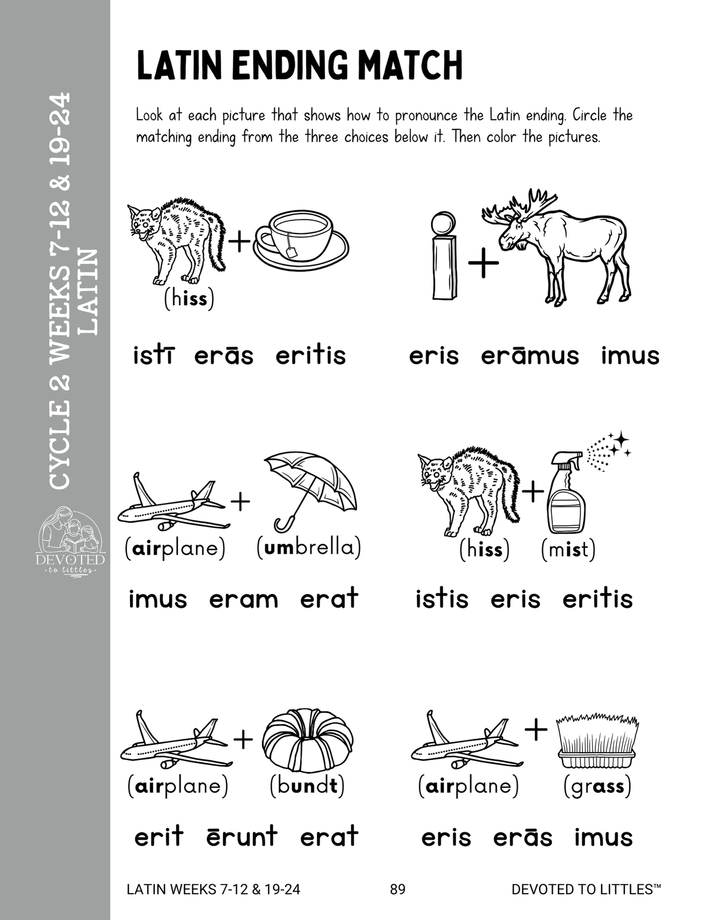 Cycle 2 Weeks 13-24 Review Activity Book