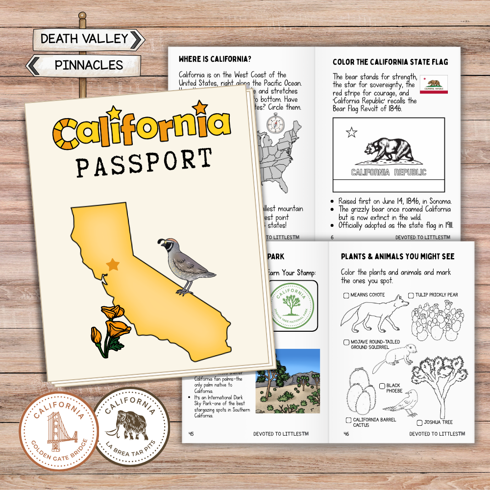 California Passport - Digital Download