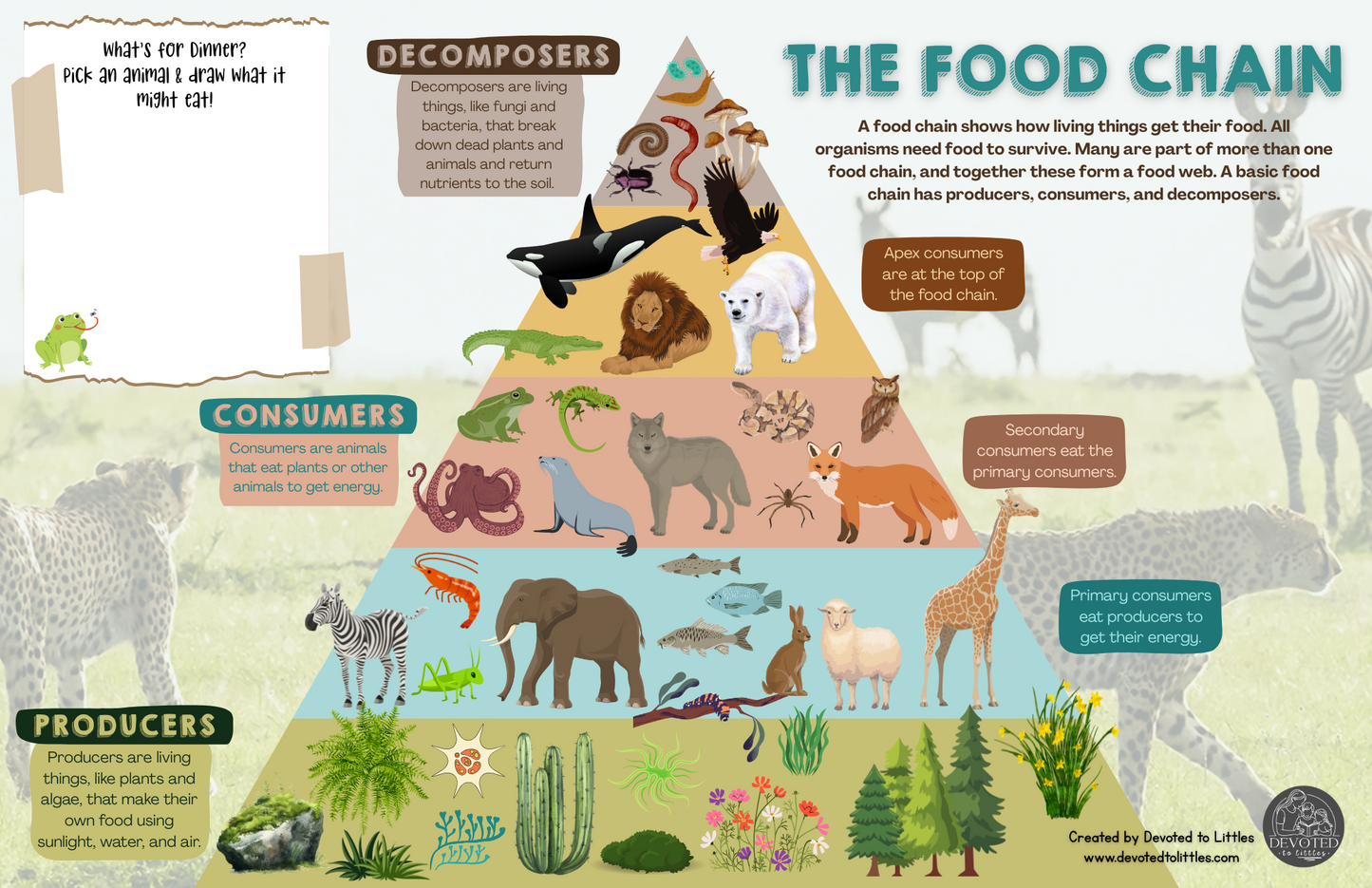 Cycle 2 History and Science Placemats (Quarter 1)