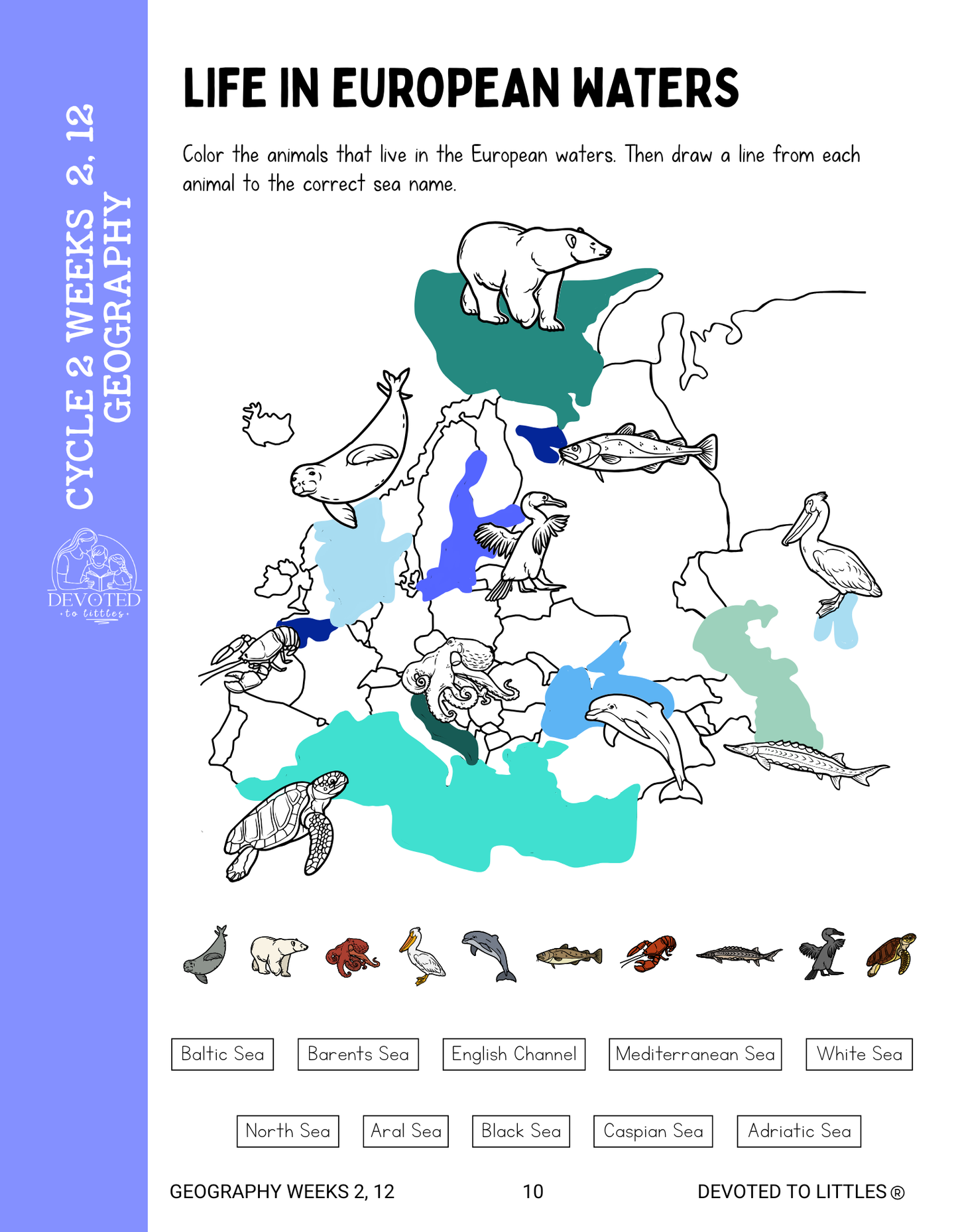 Cycle 2 Weeks 1-12 Review Activity Book