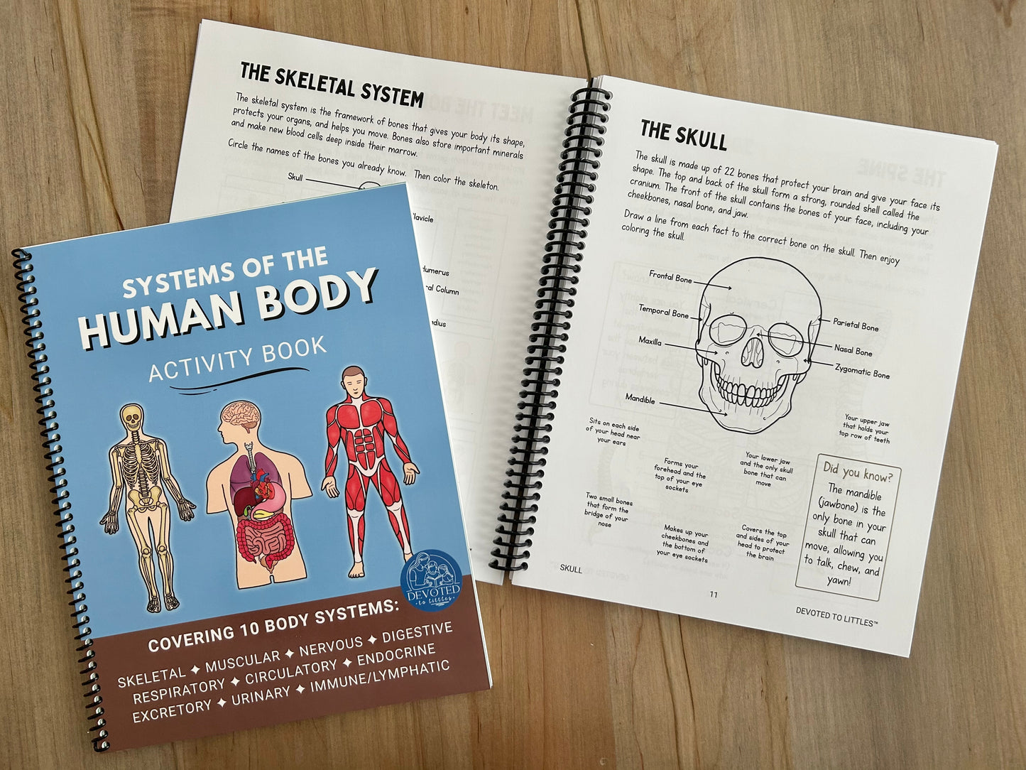 Systems of the Human Body Activity Book