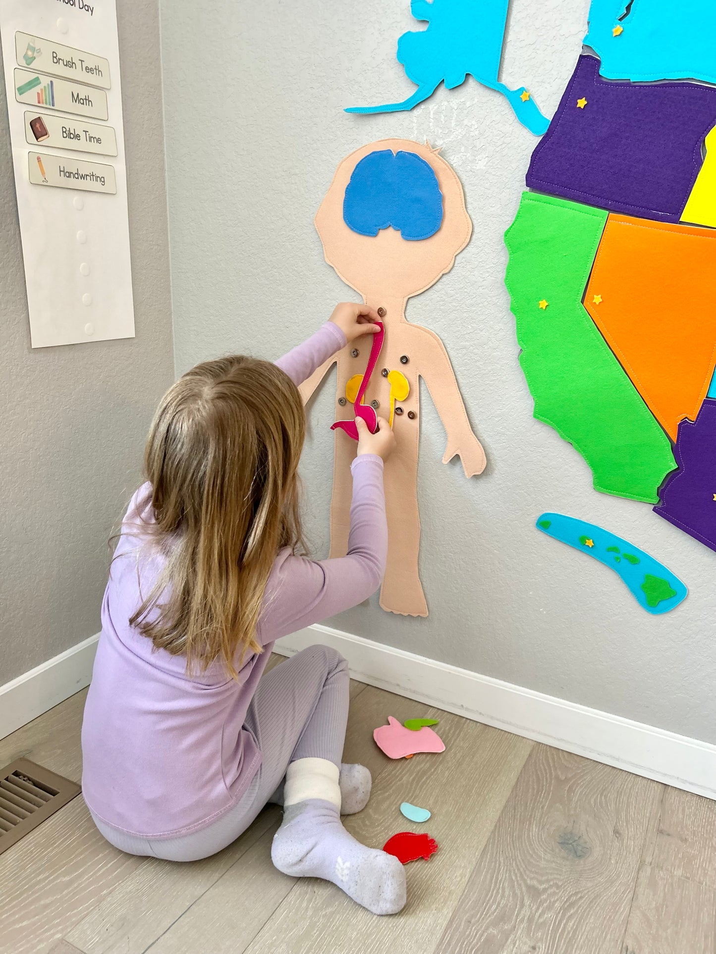 Large Human Body & Organs Pattern Set — Boy and Girl