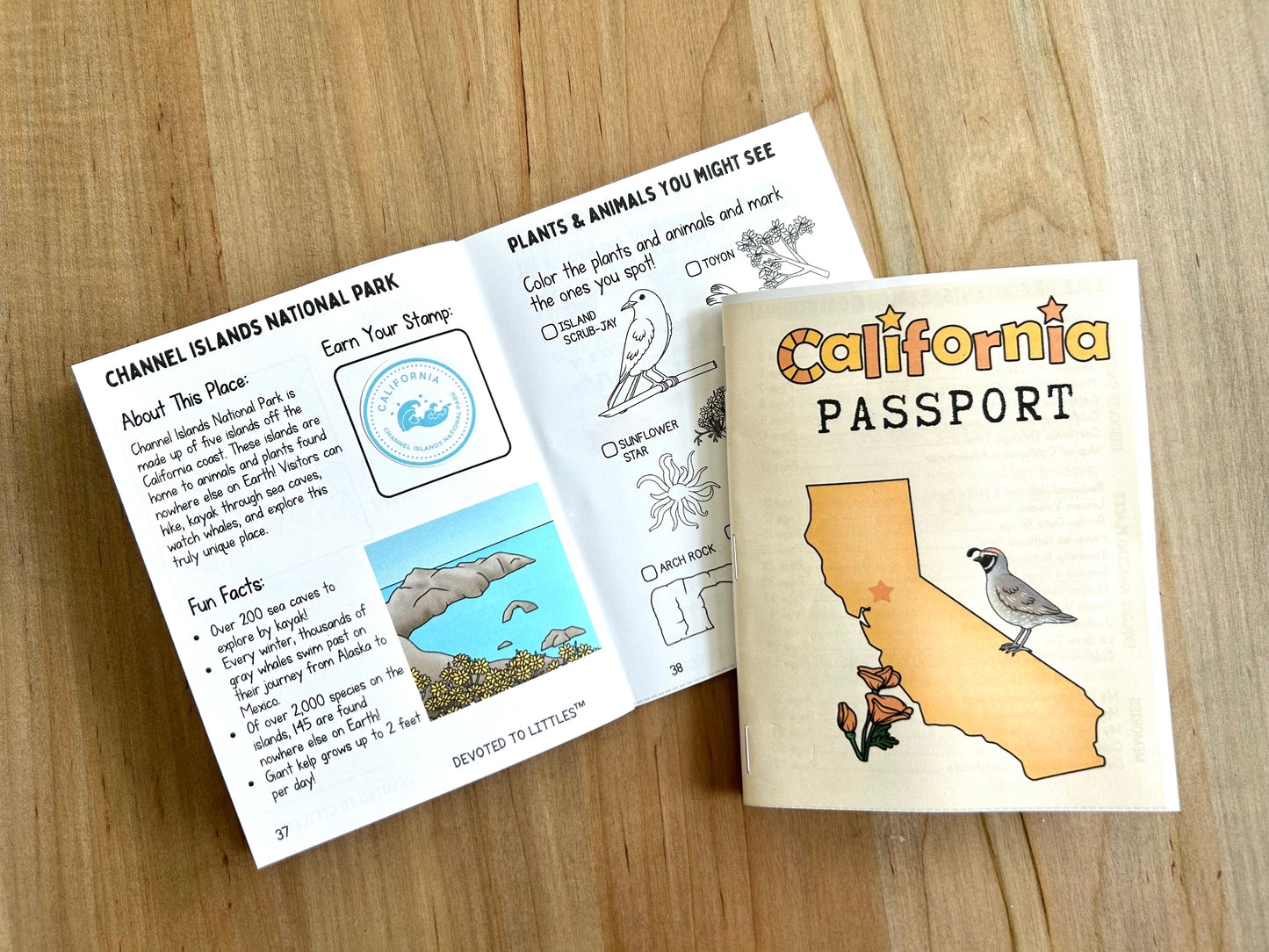 California Passport - Digital Download