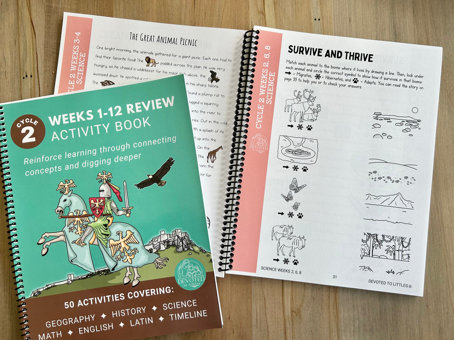 Cycle 2 Weeks 1-12 Review Activity Book