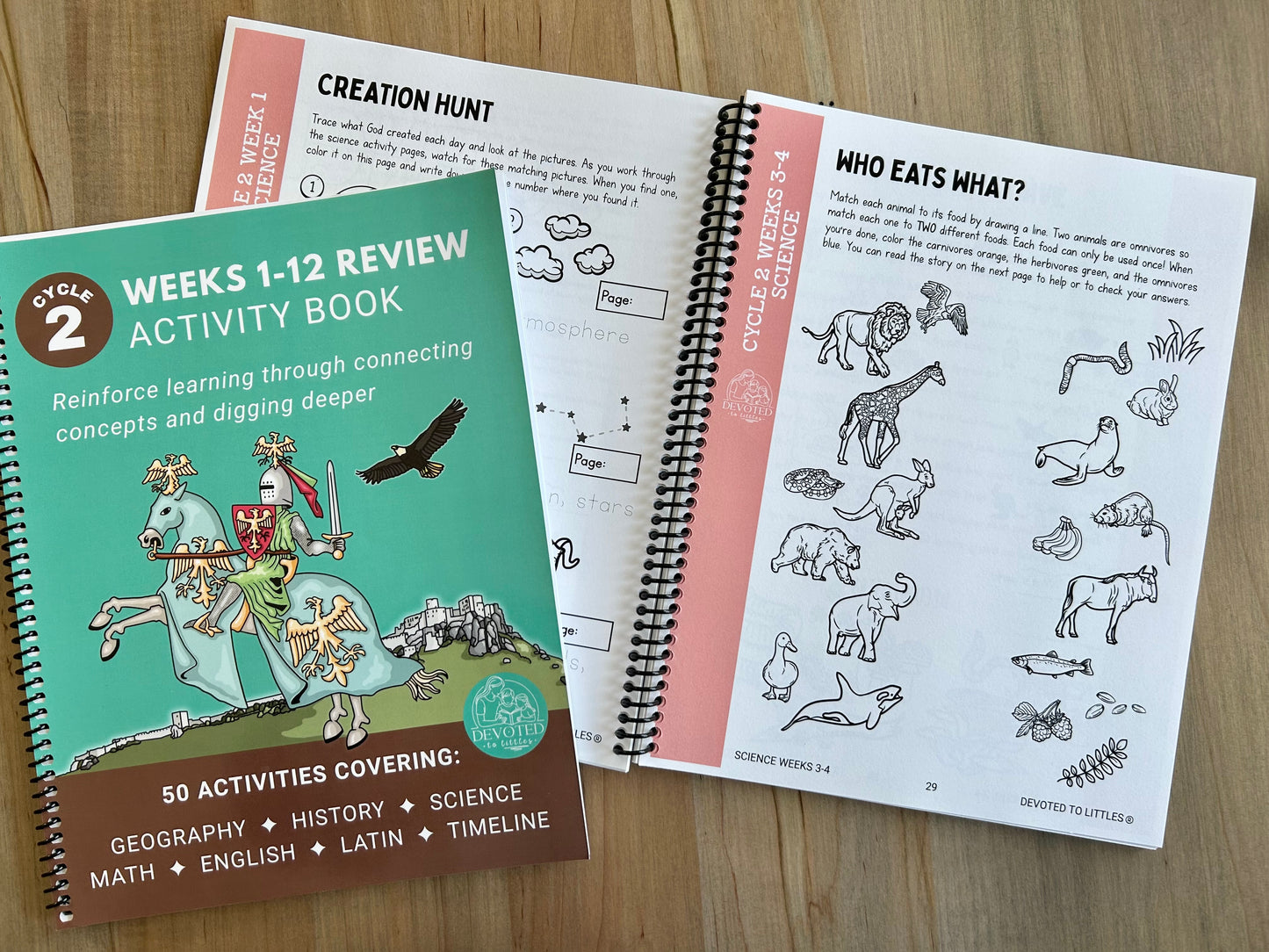 Cycle 2 Weeks 1-12 Review Activity Book