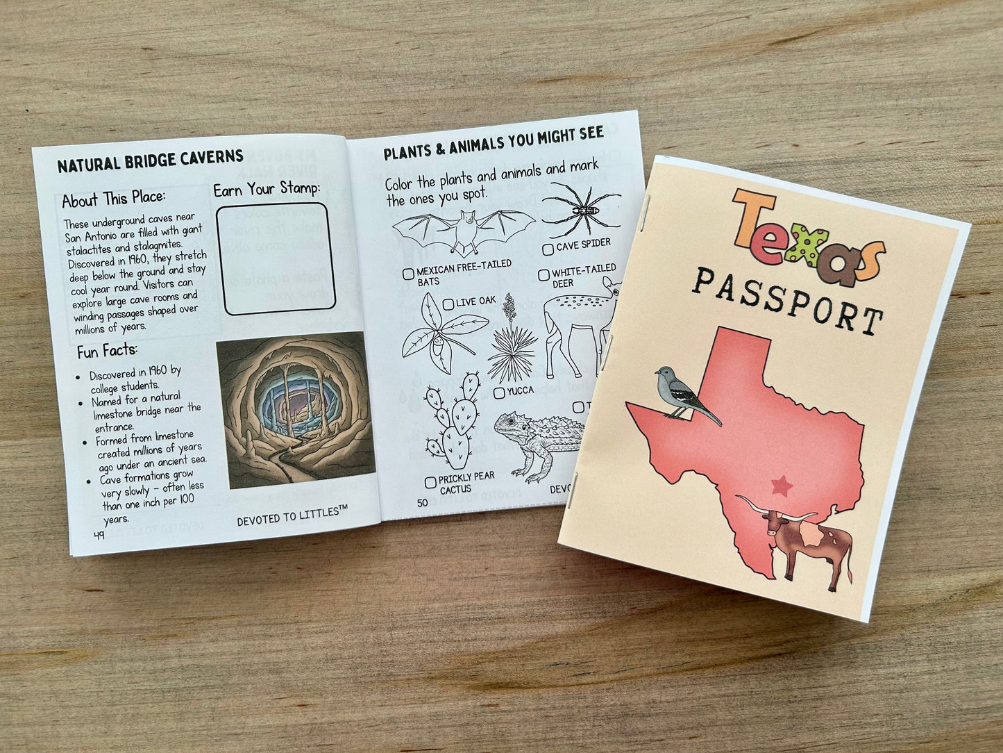 Texas Passport - Digital Download