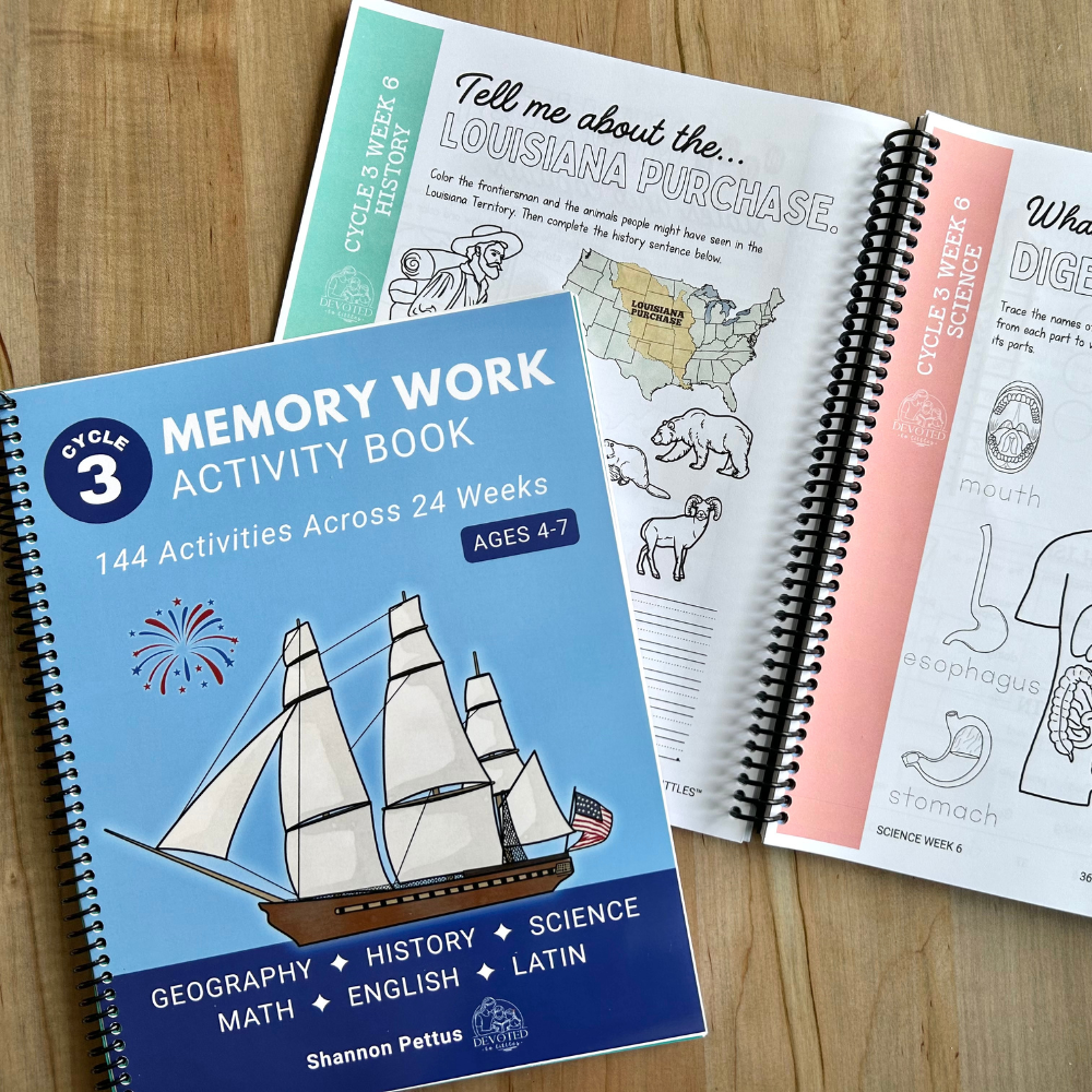 Cycle 3 Memory Work Activity Book